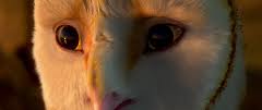 aaaaa.jpg